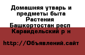 Домашняя утварь и предметы быта Растения. Башкортостан респ.,Караидельский р-н